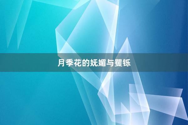 月季花的妩媚与矍铄