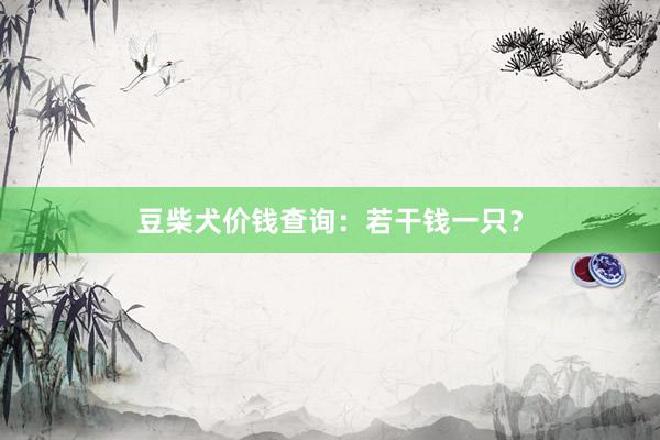 豆柴犬价钱查询:若干钱一只?